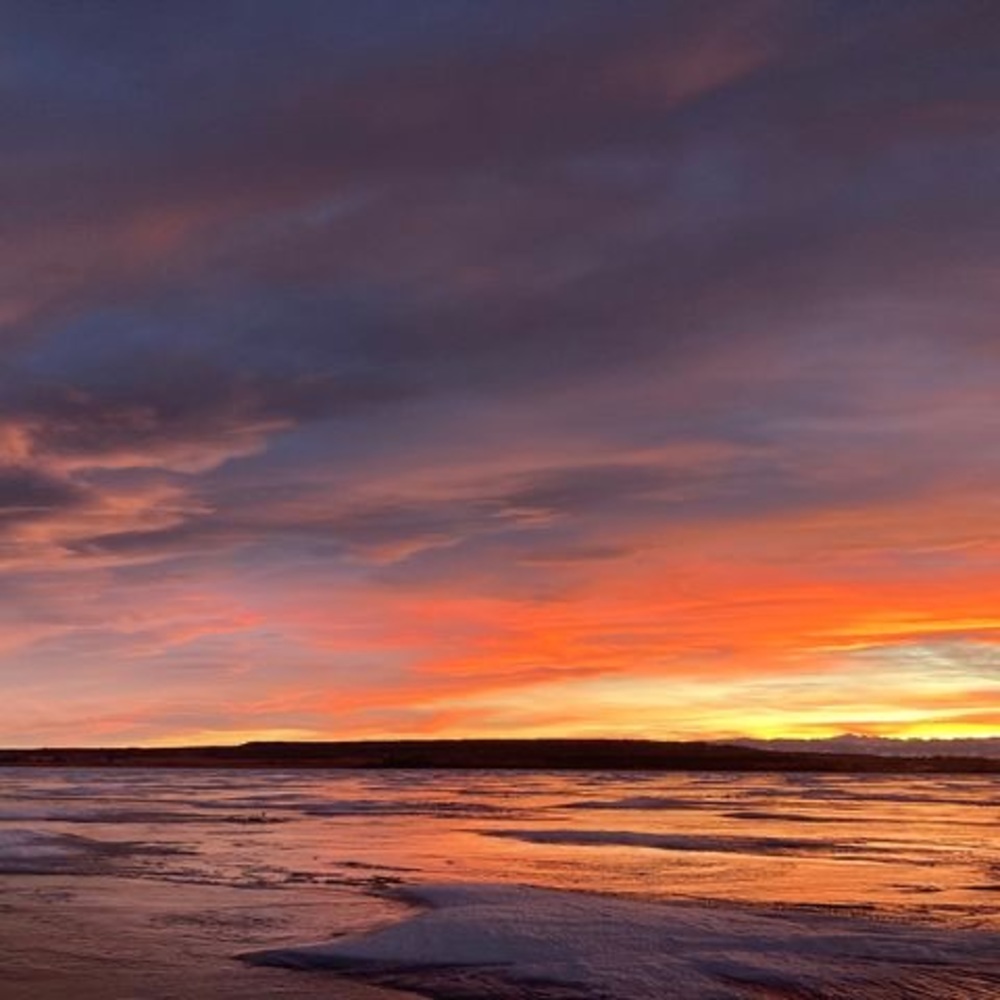 Meet your Posher, Jose